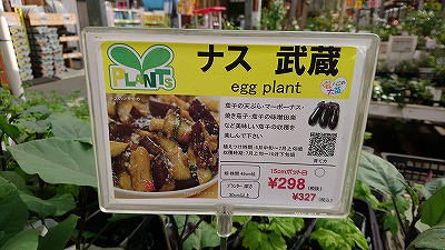 茄子の苗武蔵